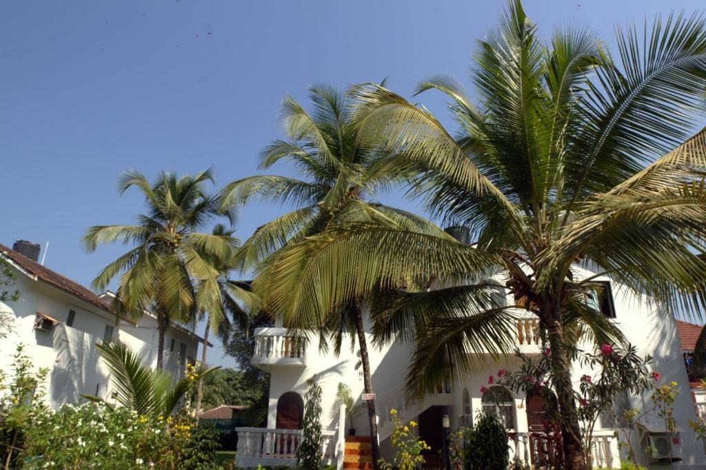 هتل کولونیا